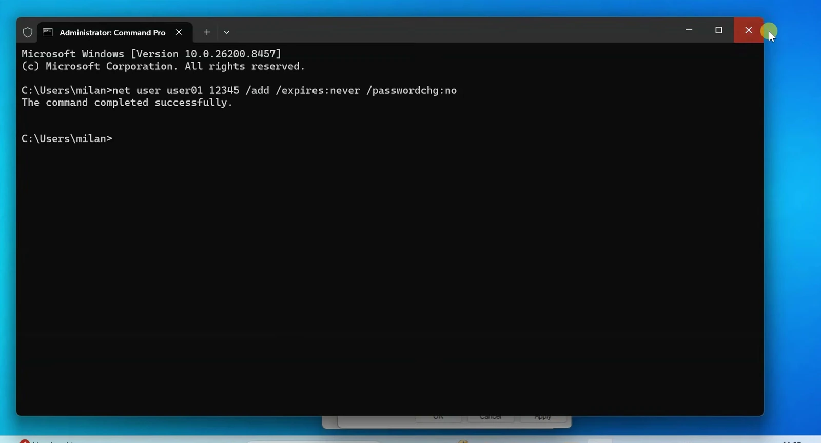Administrator Command Prompt showing a net user command for user01 and the message The command completed successfully.