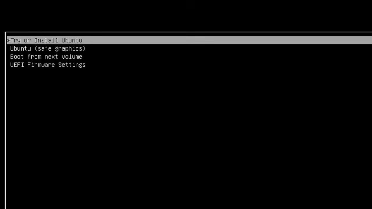 Ubuntu USB boot menu with Try or Install Ubuntu selected