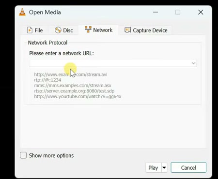 VLC Open Media Network tab with a blank network URL field