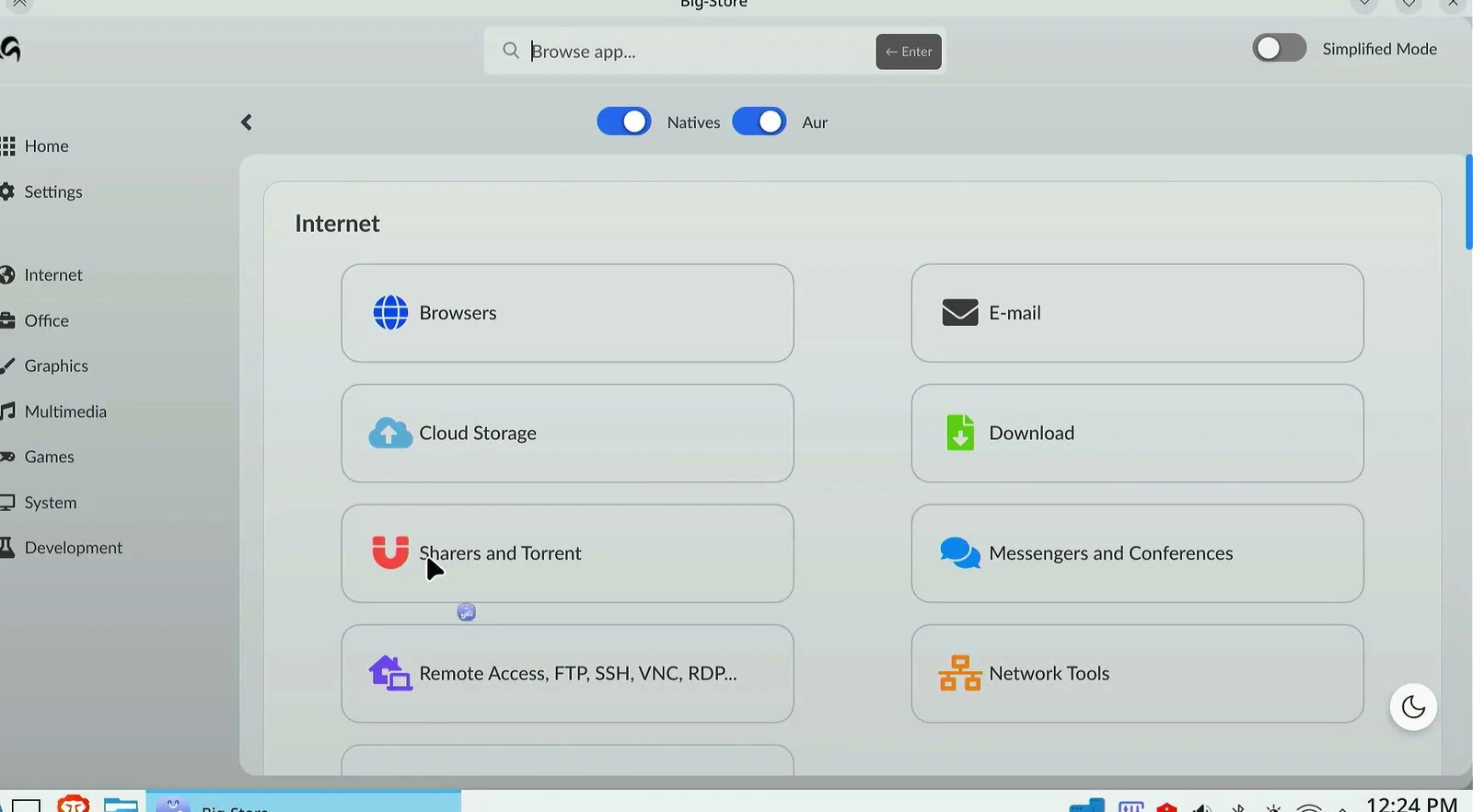 Big Store application showing browser and internet software categories