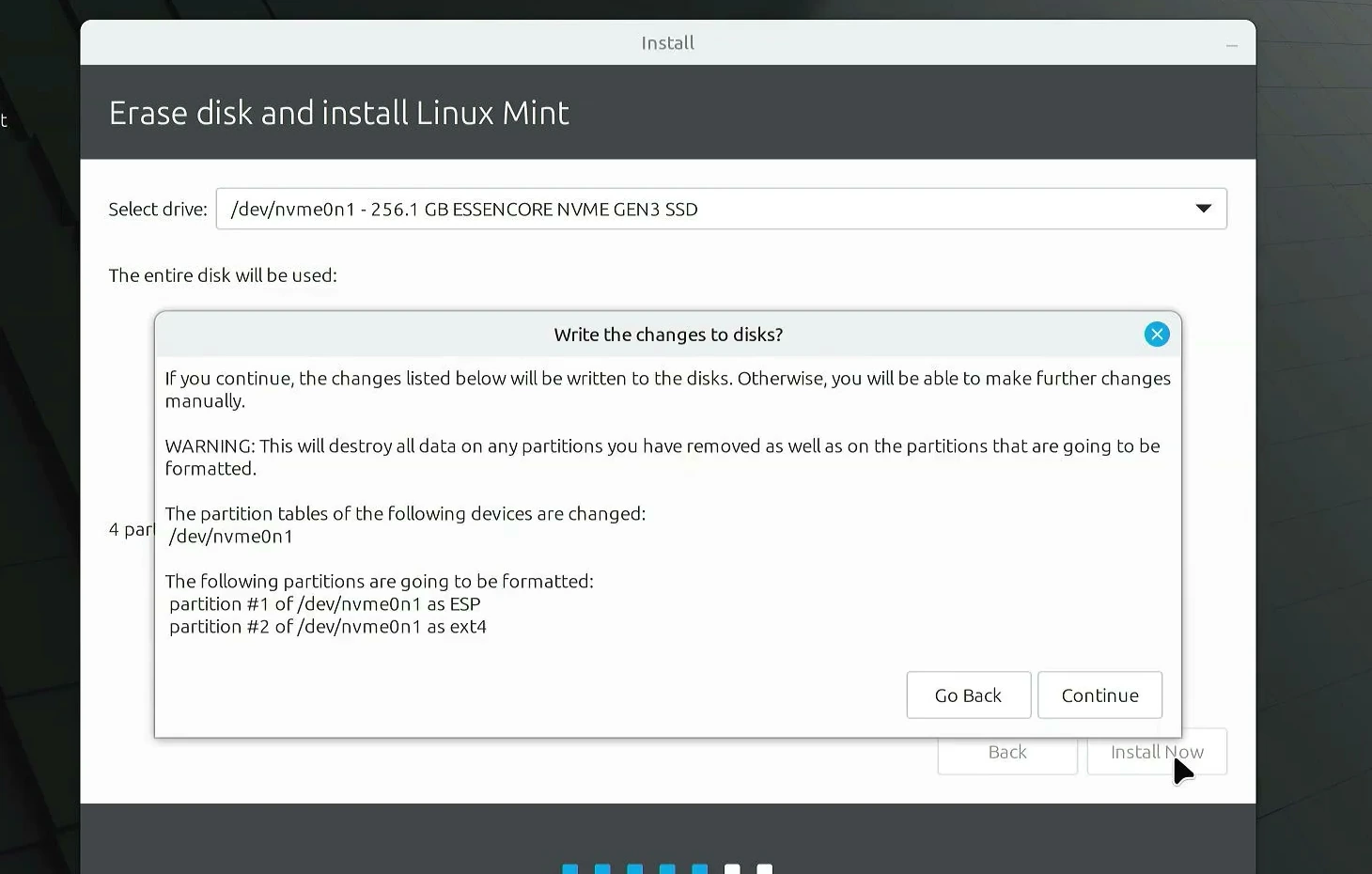 Linux Mint confirmation warning before formatting the selected disk