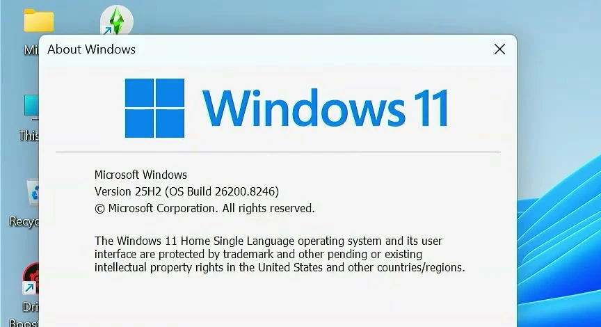 About Windows window showing the Windows 11 version and OS build